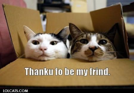 lolcat thank you Pictures, Images and Photos
