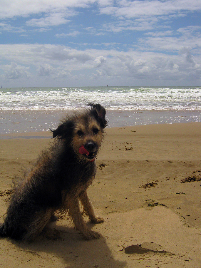 fotocharlie1_zps751ae52f.png