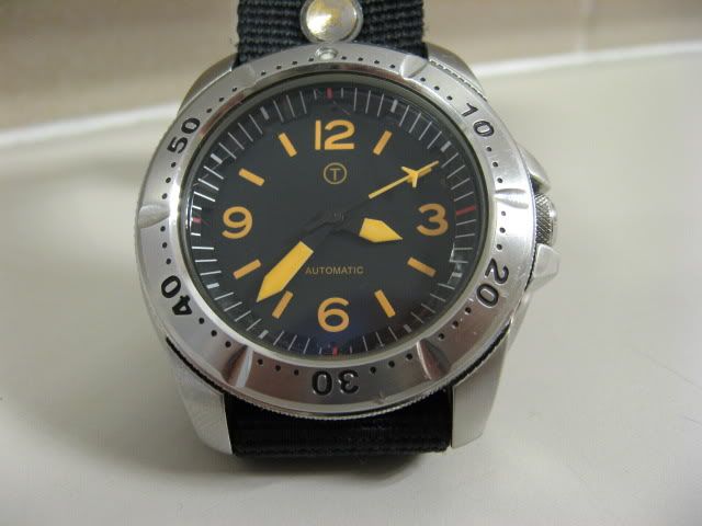 pulsar diver