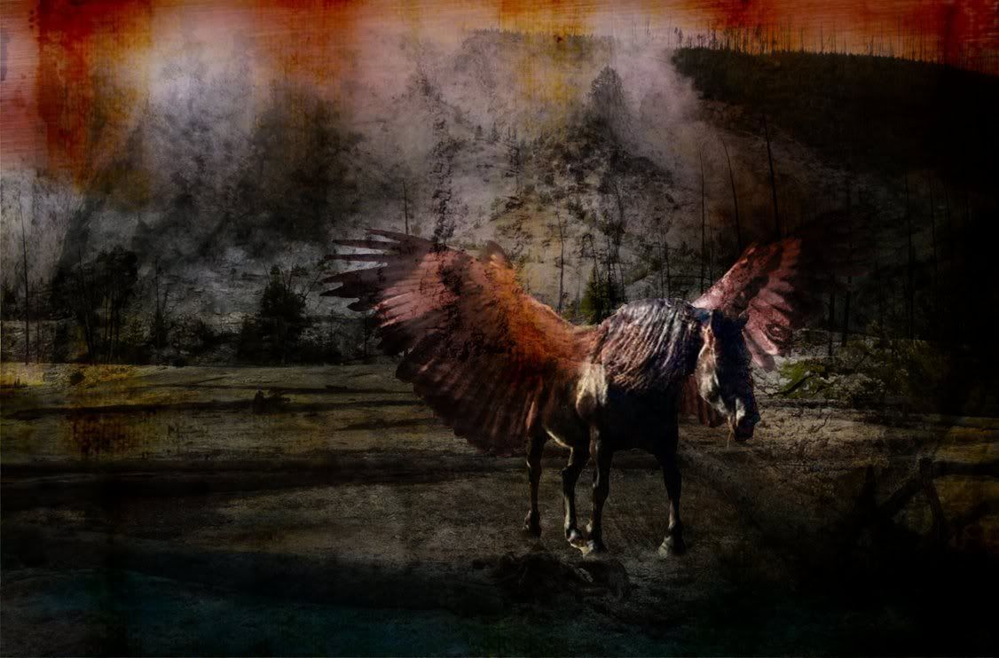keaganunsized.jpg Winged Horse image by All_forHim08