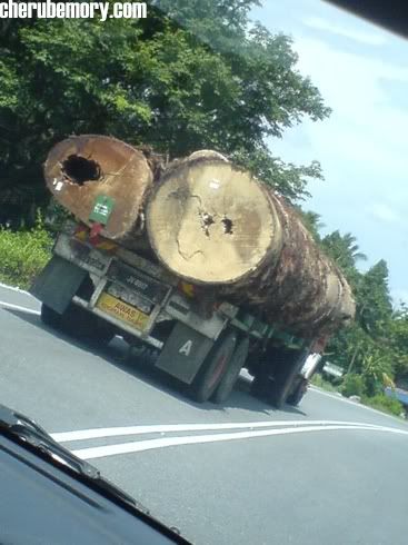 Log Trasport
