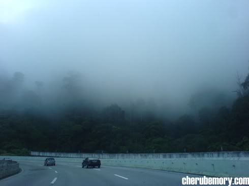 Morning Fog