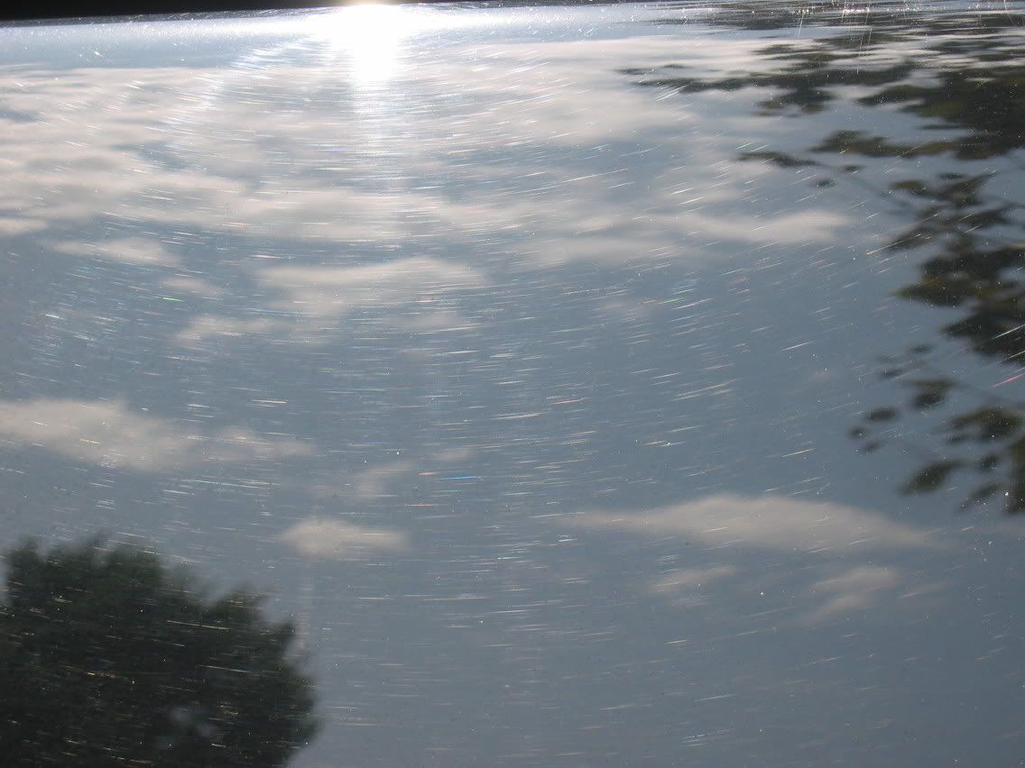 IMG_7645.jpg