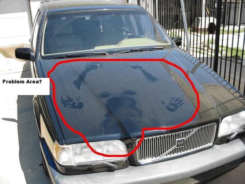 Wifes-volvotest.jpg