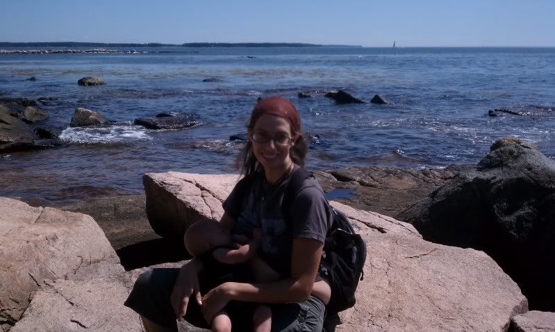 nursing on a rock in Maine