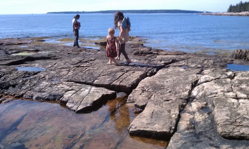 beautiful Maine coast