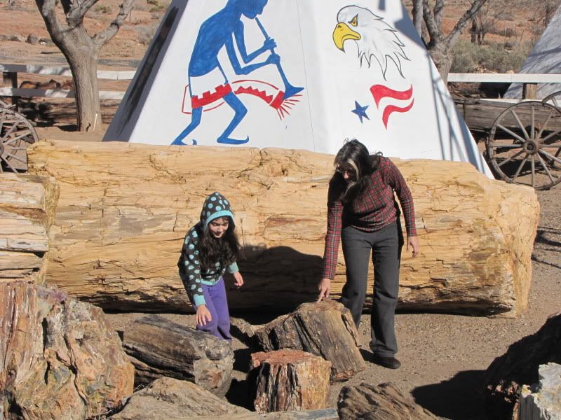 7 year old discovering petrified wood in Arizona