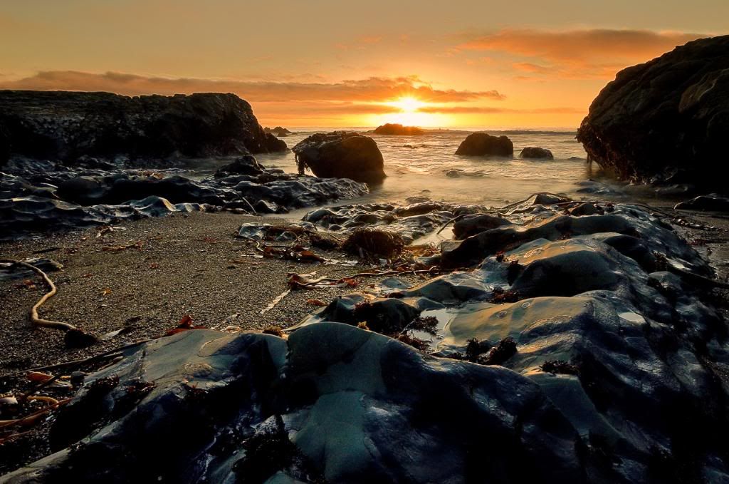 IMAGE: http://i9.photobucket.com/albums/a92/DJJUST/CS_1.jpg