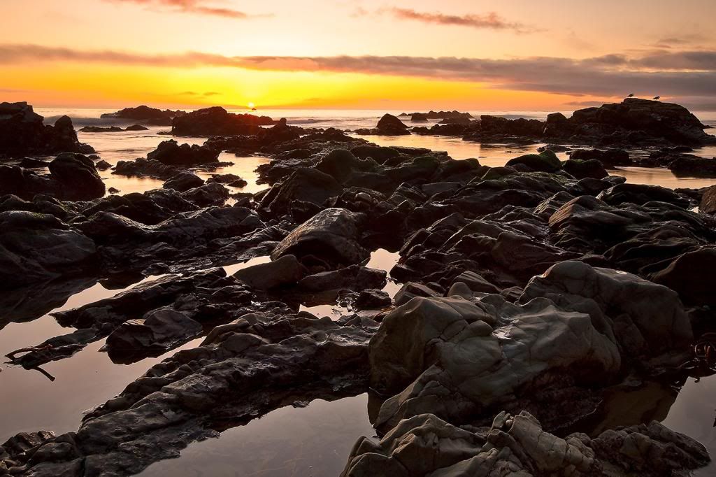 IMAGE: http://i9.photobucket.com/albums/a92/DJJUST/SunsetinCambria2-copy.jpg