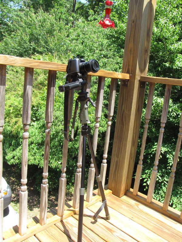 IMAGE: http://i9.photobucket.com/albums/a93/GAJoe/IMG_4230.jpg