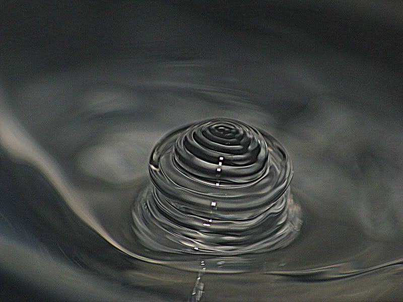 IMAGE: http://i9.photobucket.com/albums/a93/GAJoe/waterbud.jpg