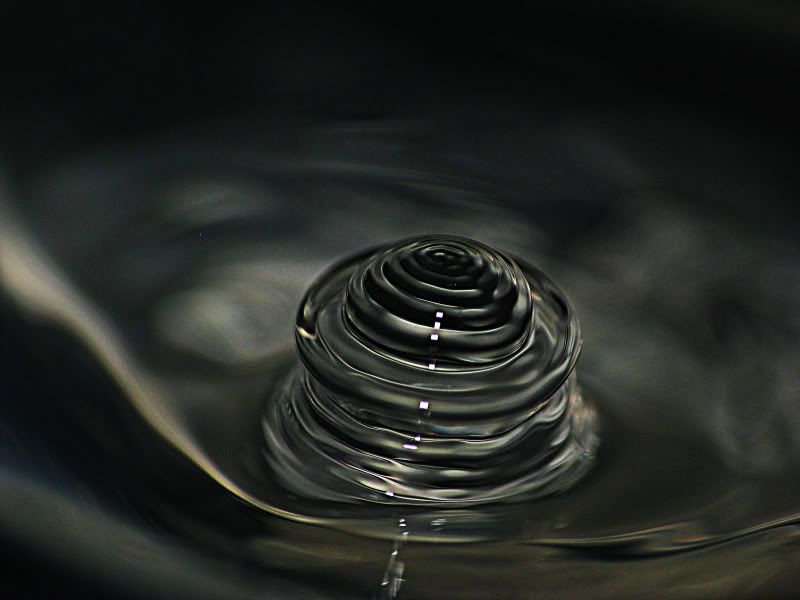 IMAGE: http://i9.photobucket.com/albums/a93/GAJoe/waterbud2.jpg