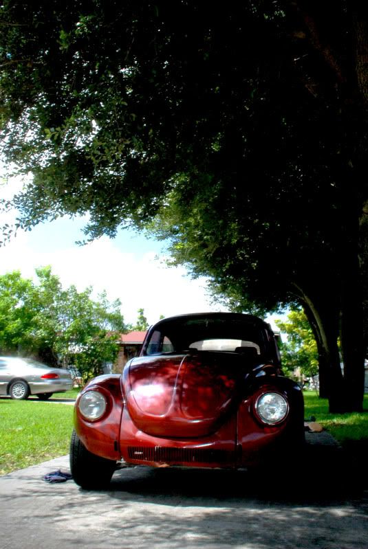 Image may have been reduced in size. Click image to view fullscreen.