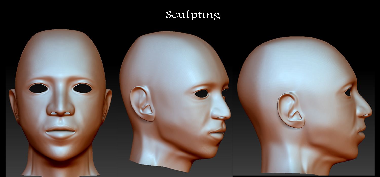 SculptingProgress.jpg