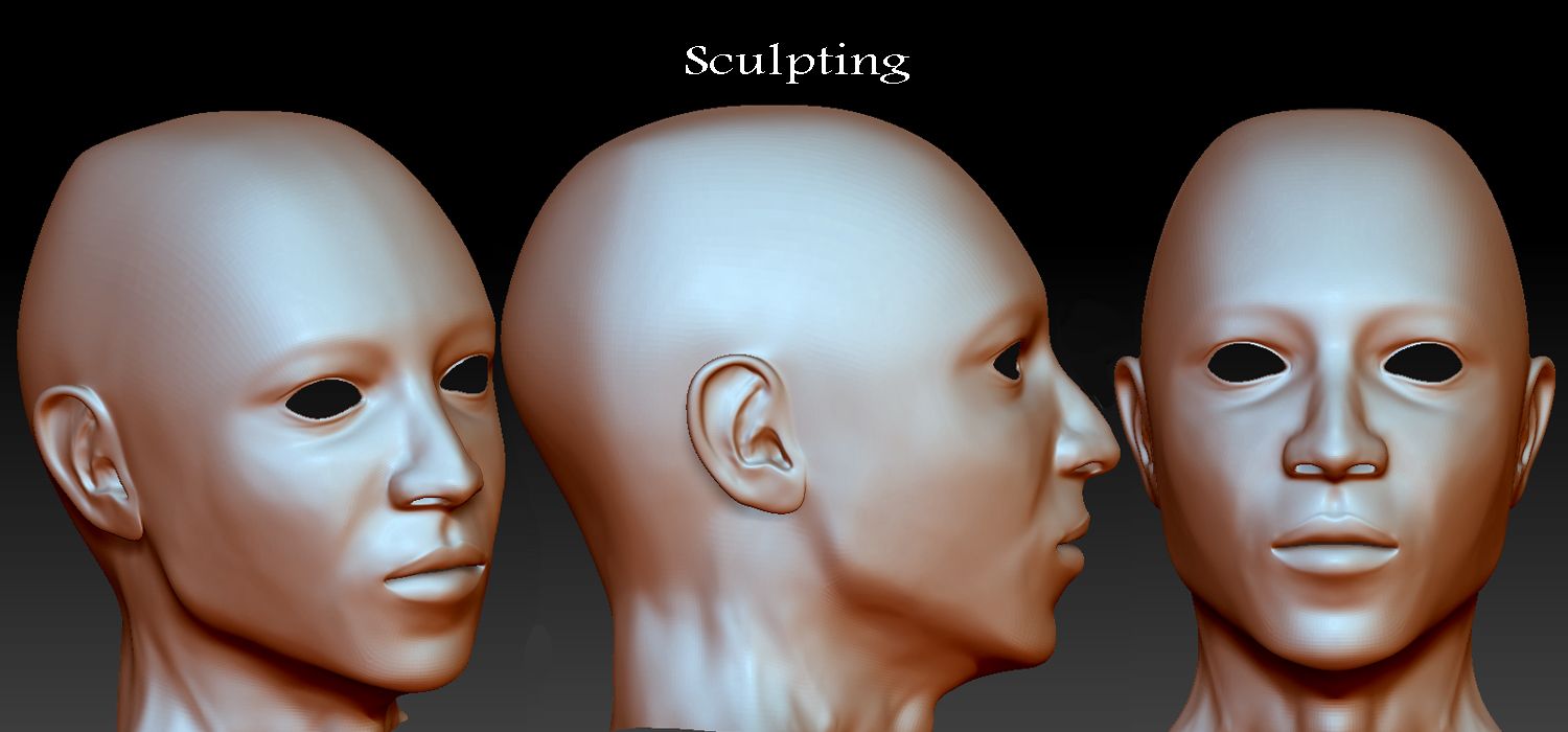SculptingProgress3.jpg
