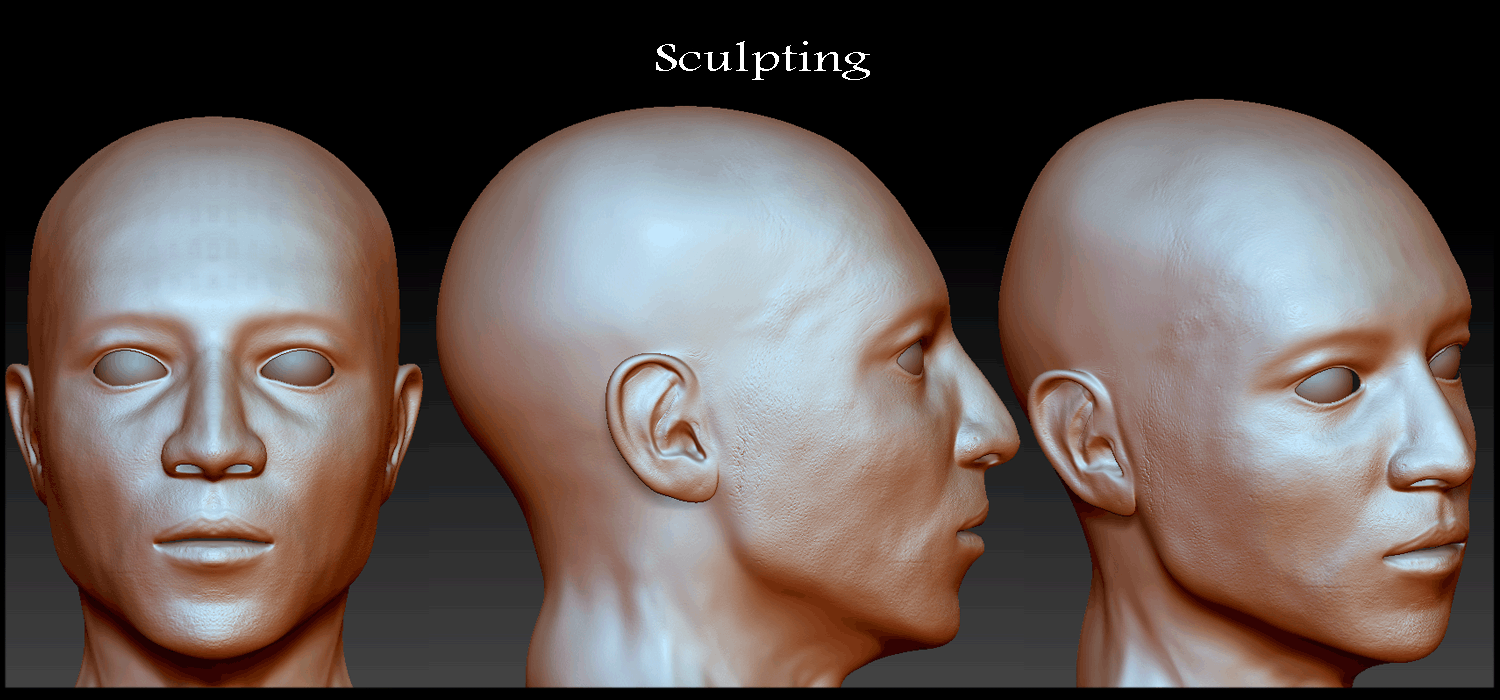 SculptingProgress4.gif