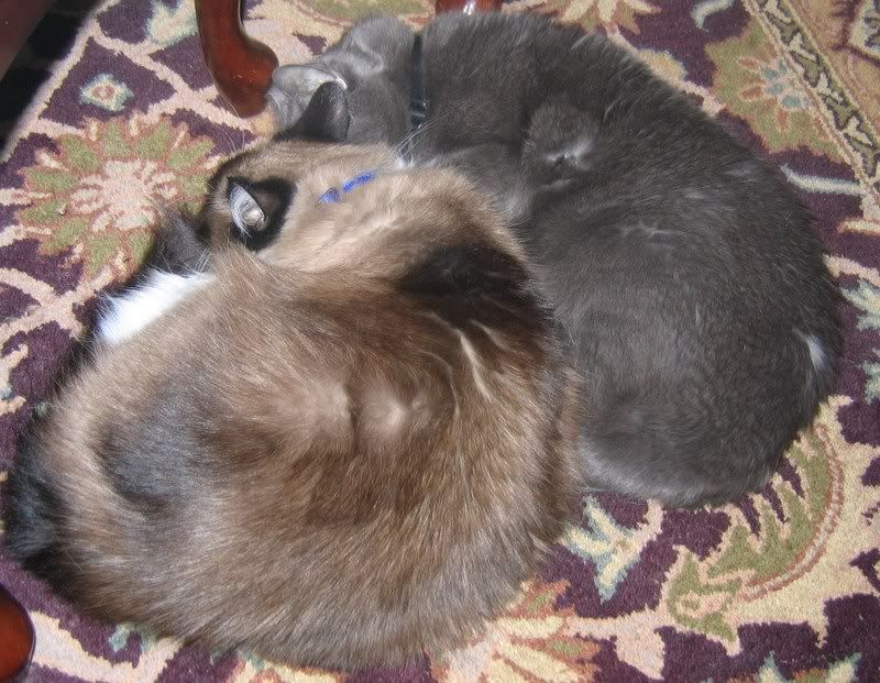 the adults are smoking and joking...