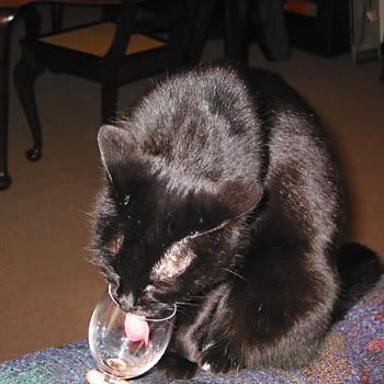 re: Can the Adults Please Smoke - Twenty with a Twist