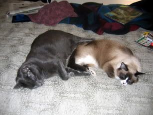 re: The Sublimely Cute!!!