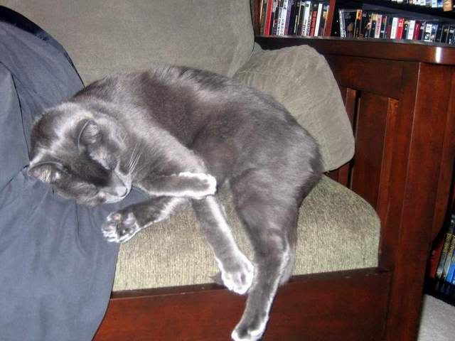 Well, I guess they like the Rocking Chair