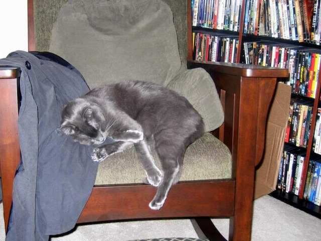 Well, I guess they like the Rocking Chair