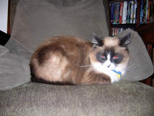 Well, I guess they like the Rocking Chair