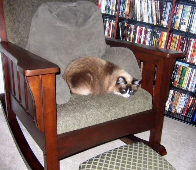 Well, I guess they like the Rocking Chair