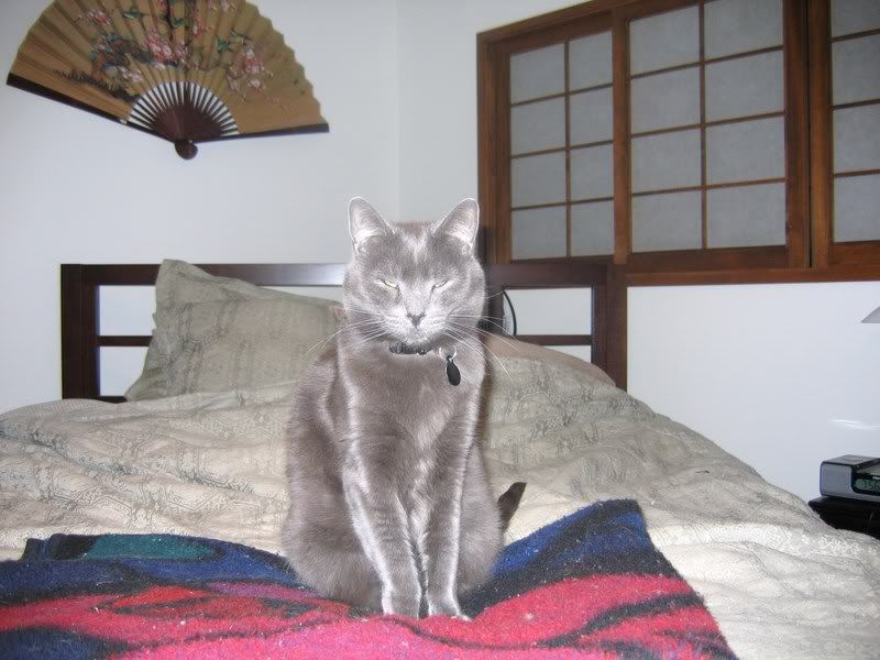 re: Can the Adults Please Smoke - Twentieth Anniversary Special Edition