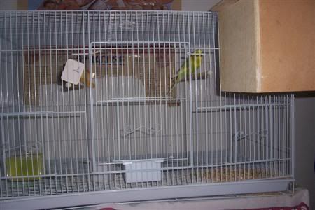 000_0921Custom.jpg