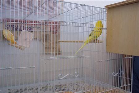 000_0925Custom.jpg