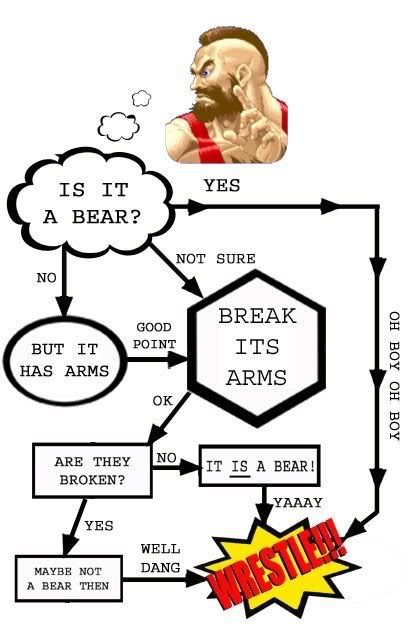 http://i9.photobucket.com/albums/a94/xBKTx/lolz/zangief-flowchart.jpg