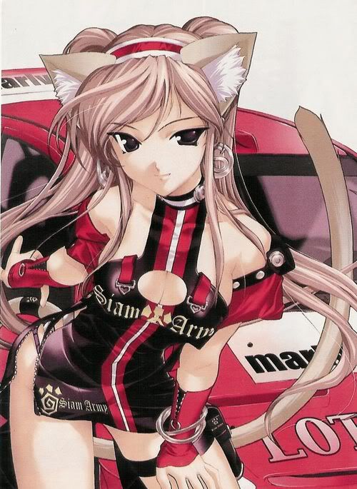 normal_Street_racing_neko.jpg