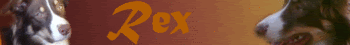 Rex-banner.gif