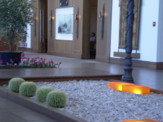 P9150054.jpg