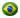 bra.png