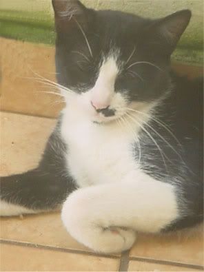 Keiko