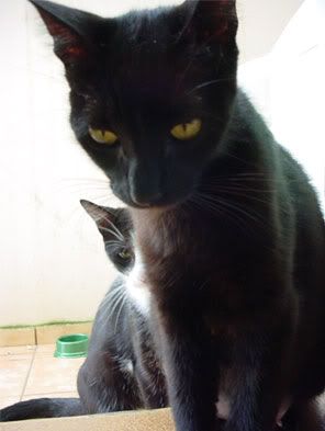 Lola! E Keiko.