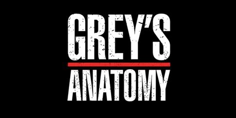 Grey's anatomy, sezona 3t