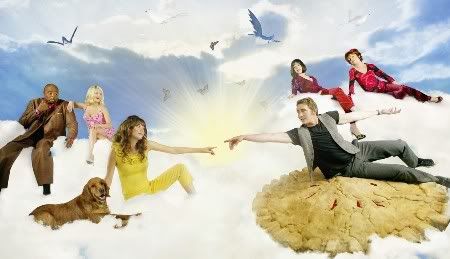 pushing daisies