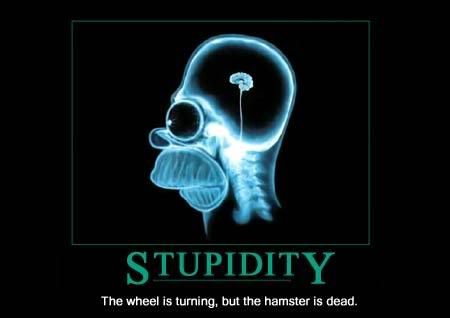 stupidity