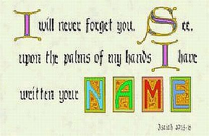 never_forget_you