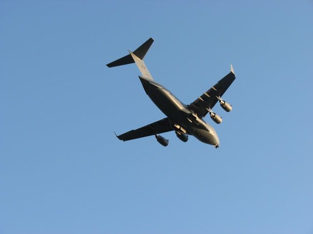 c176.jpg