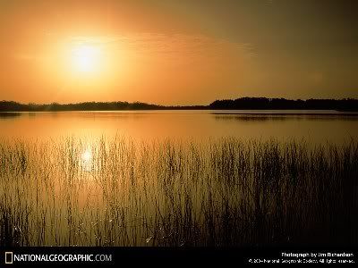 Florida Everglades Pictures, Images and Photos