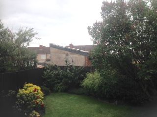 garden.jpg
