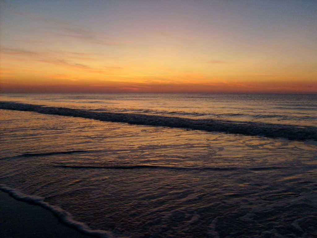 Please, someone send an new pic of the day thread! - Homesteading Questions