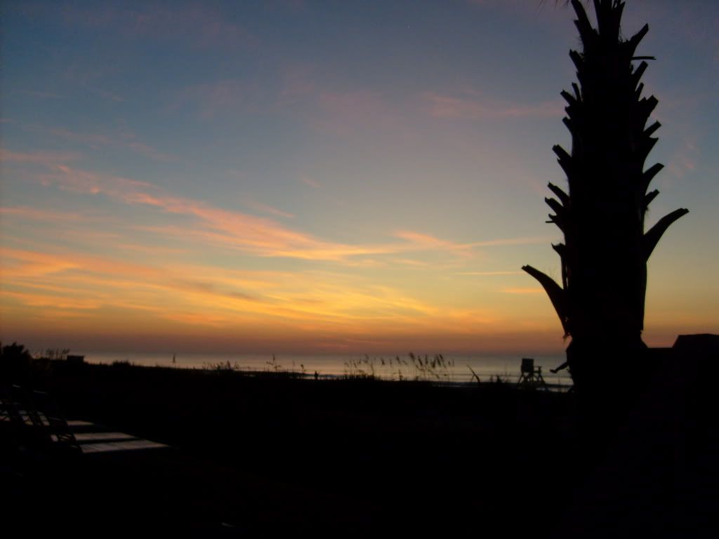 Please, someone send an new pic of the day thread! - Homesteading Questions