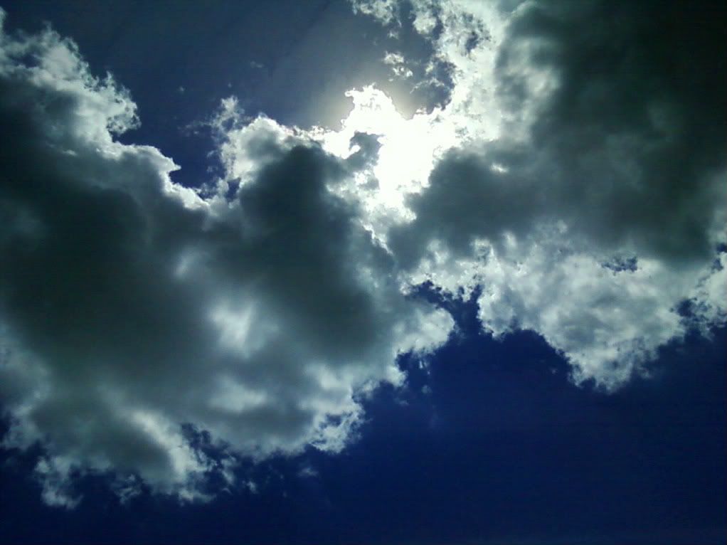 Please, someone send an new pic of the day thread! - Homesteading Questions