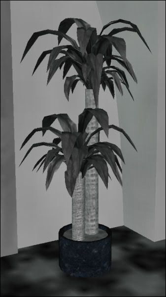 Casablanca Palm
