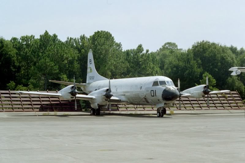 IMG022.jpg