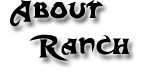 About Ranch